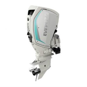 evinrude 250 hp